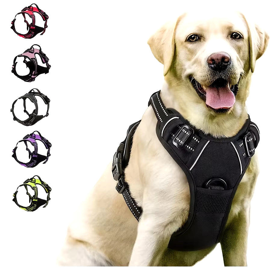 Dog Supplies